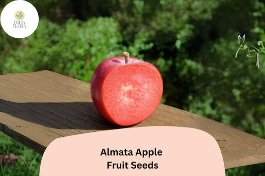 25+ Almata Apple Seeds | Rare Red-Flesh Apple | Malus domestica | Unique Tart Flavor | Fruit Tree Seeds for Garden Planting