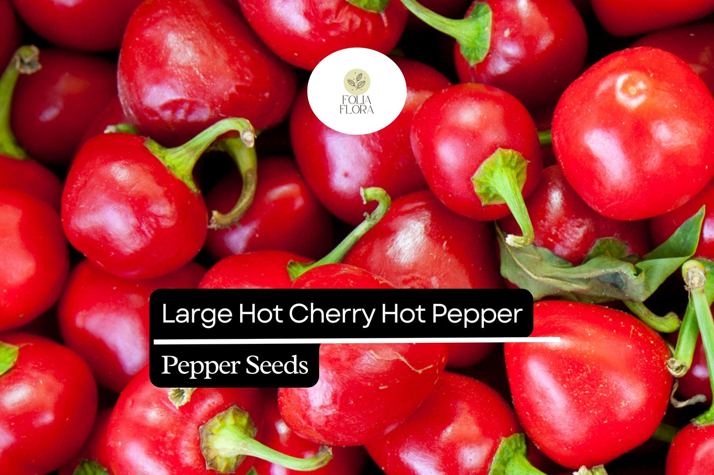 250mg Large Hot Cherry Pepper Seeds Capsicum annuum | Medium-Hot, Non-GMO, Ideal for Pickling, Stuffing, and Fresh Cooking