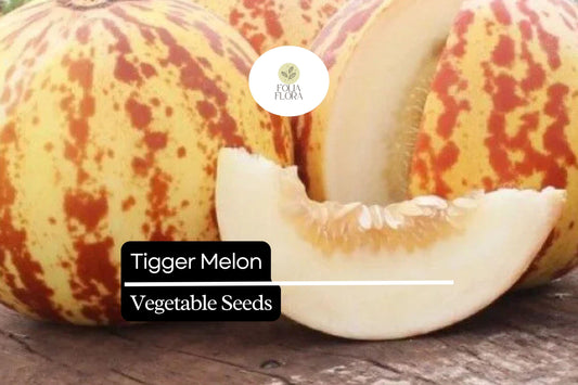 10 Seeds Tigger Melon (Cucumis melo) – Unique Heirloom Melon with Striking Stripes and Sweet Fragrant Flesh