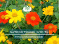 50 Seeds Sunflower Mexican Torch Mix, Non-GMO, Orange & Yellow Blooms, Pollinator Friendly, Bee Attracting, Beautiful Garden Flowers