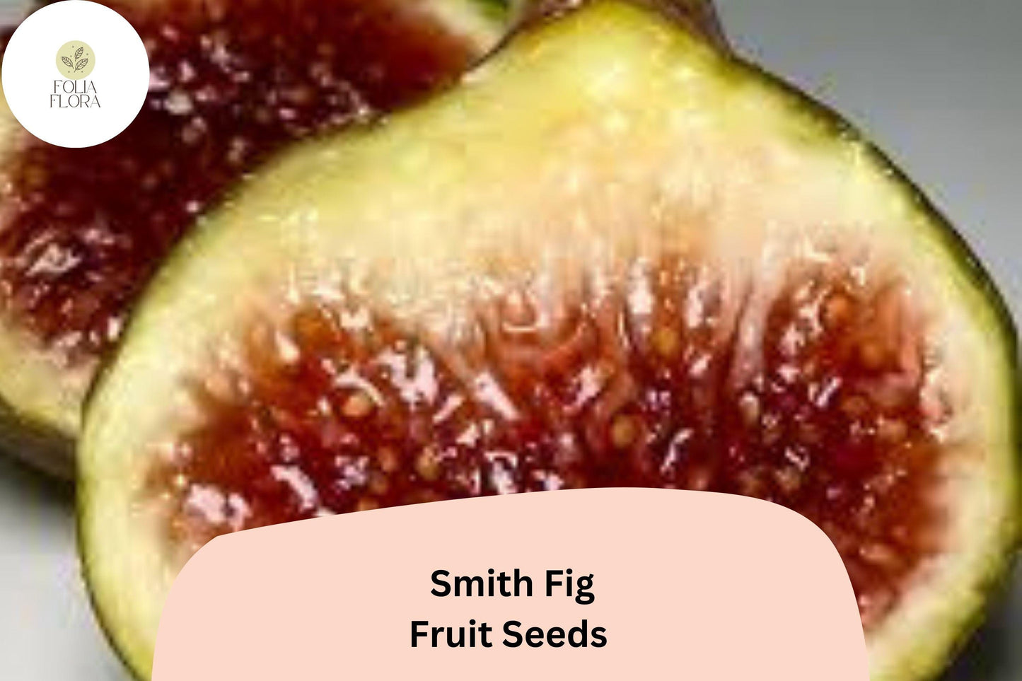 100+ Smith Fig Seeds – Grow Ficus carica Sweet & Juicy Heirloom Figs for Garden and Home