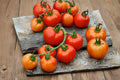 Tomato – Rutgers 30 Seeds | Classic Heirloom Tomato | Balanced Flavor | Excellent for Fresh & Canning