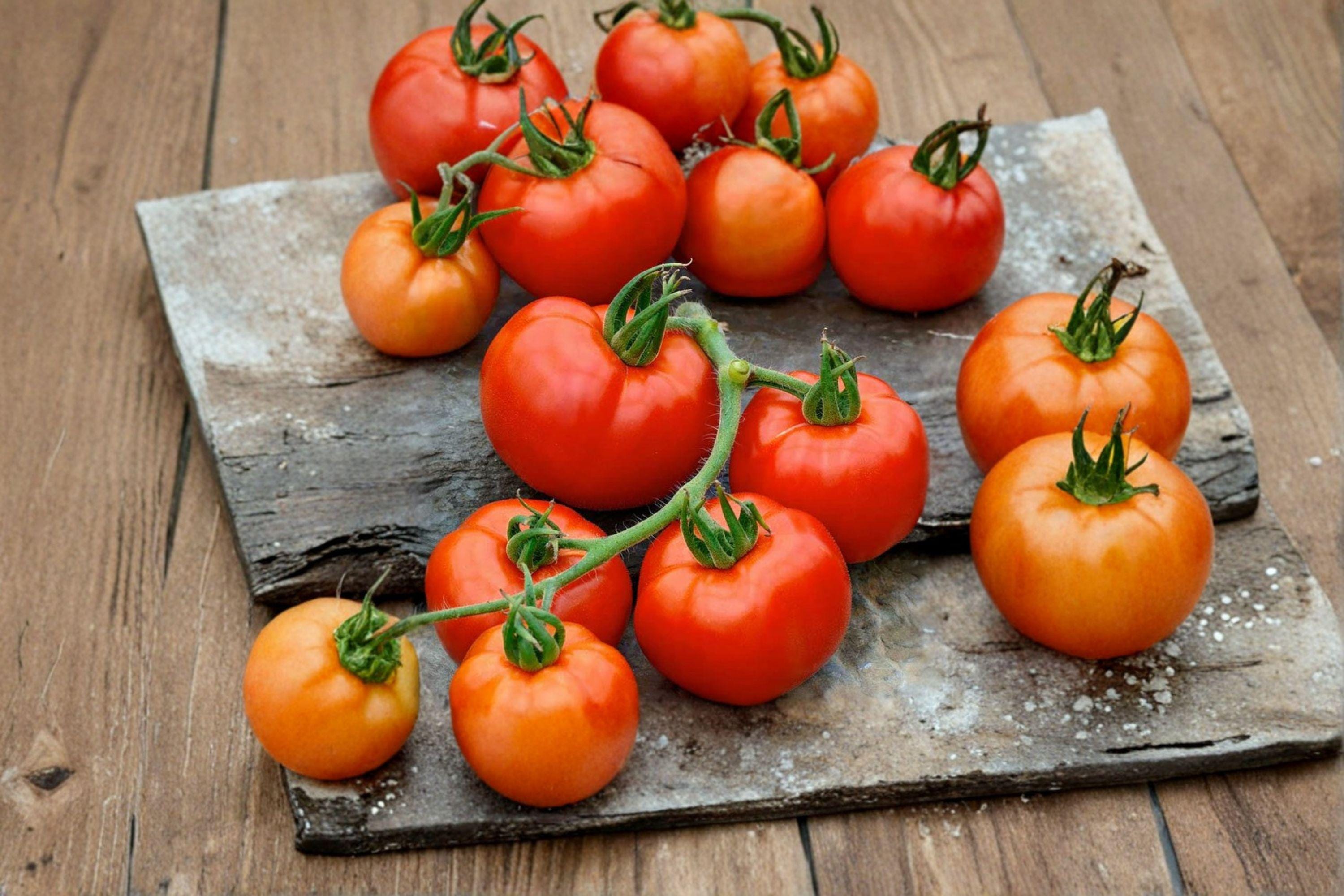 Tomato – Rutgers 30 Seeds | Classic Heirloom Tomato | Balanced Flavor | Excellent for Fresh & Canning