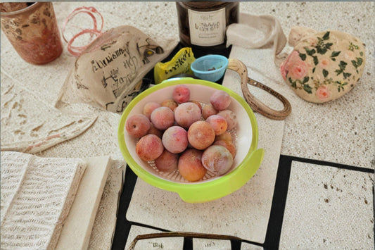 Dapple Dandy Pluot 5 Scions/Cuttings 6-10 Inches (Plum x Apricot Hybrid)