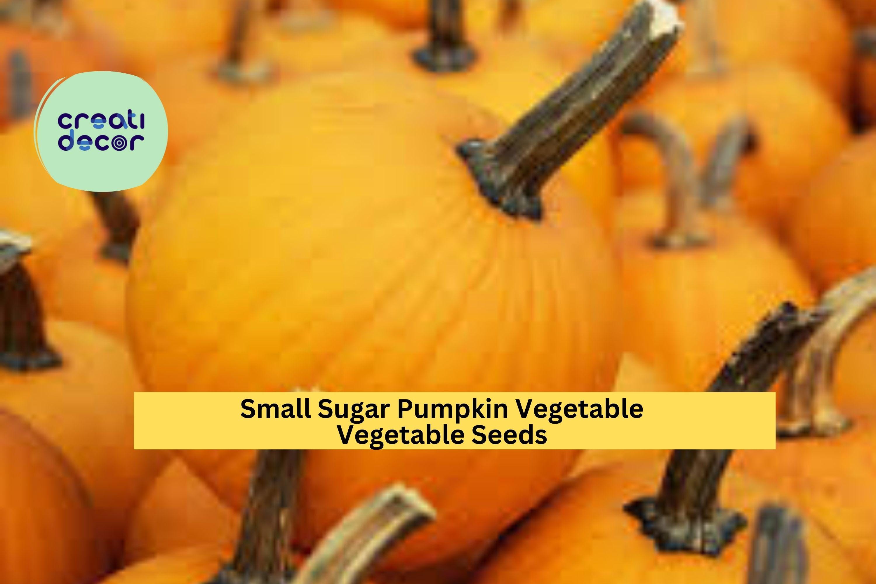 3pcs of 1g Small Sugar Pumpkin Seeds – Sweet Heirloom Pumpkin for Baking, Cooking, and Home Garden Harvest Seeds for Planting