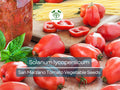 100 mg San Marzano Tomato Seeds - Solanum lycopersicum | Heirloom Italian Paste Tomato for Planting, Gardening & Sauces