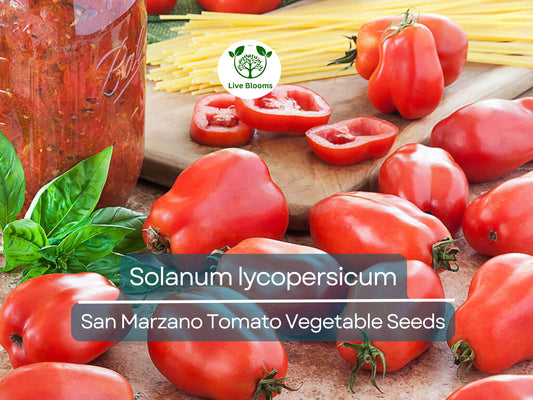 100 mg San Marzano Tomato Seeds - Solanum lycopersicum | Heirloom Italian Paste Tomato for Planting, Gardening & Sauces