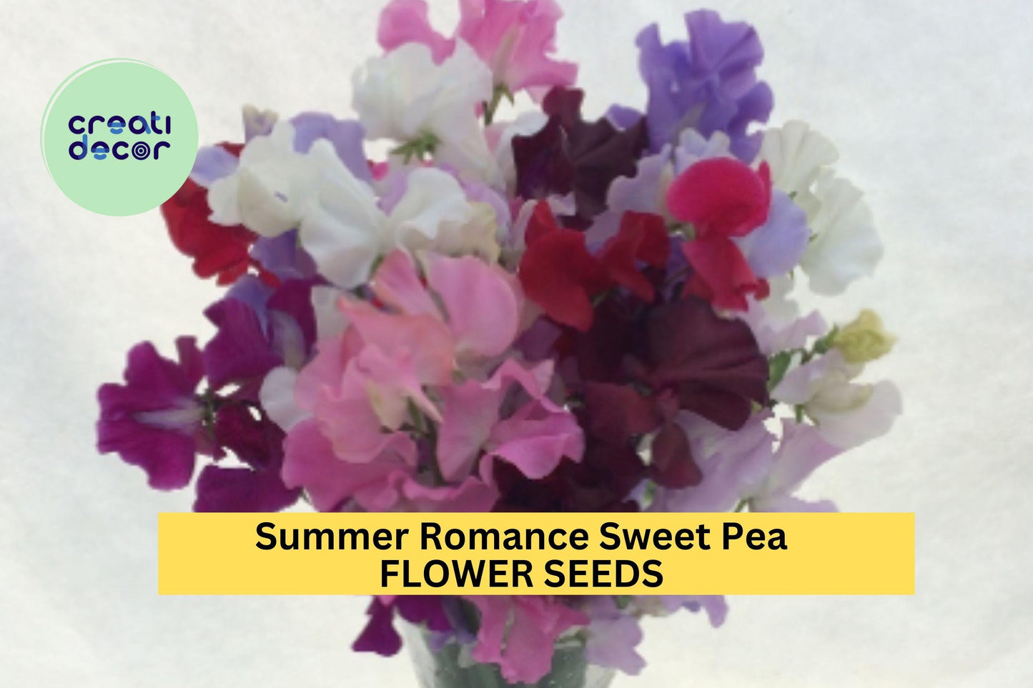 50+ Summer Romance Sweet Pea Seeds – Blush Pink Fragrant Blooms for Garden Planting, Climbing Vines for Trellises & Bouquets – USA