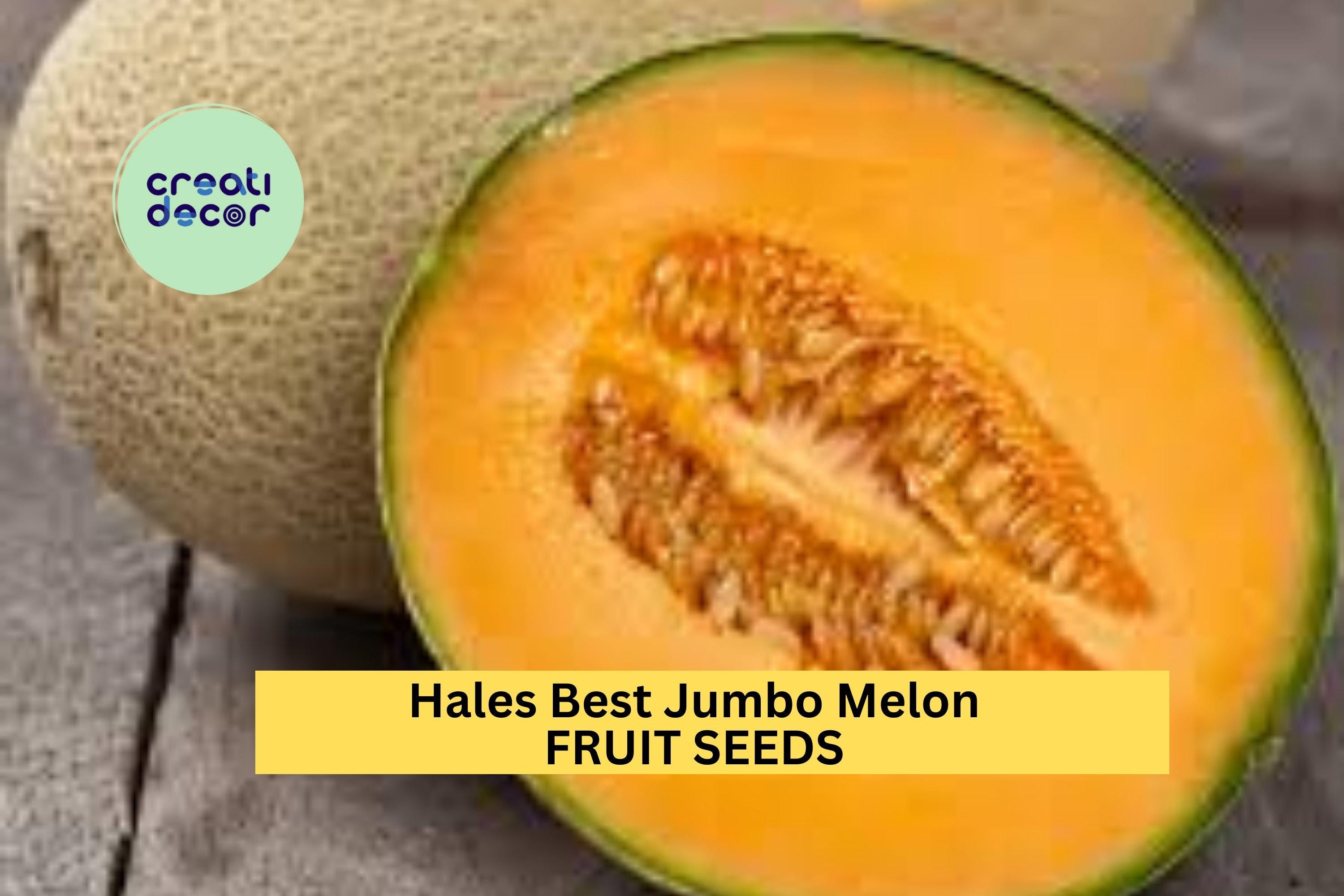 3pcs of 1g Hales Best Jumbo Melon Seeds – Sweet Cantaloupe Variety for Summer Gardens, Containers & Outdoor Planting Seeds for Planting