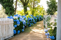 Blue Hydrangea 2 Live Plants 18" Tall (Hydrangea macrophylla) Flowering Shrub