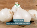 250 mg Seeds Onion Ringmaster – Allium cepa Heirloom Variety for Planting | Sweet, Mild, Perfect for Rings & Cooking