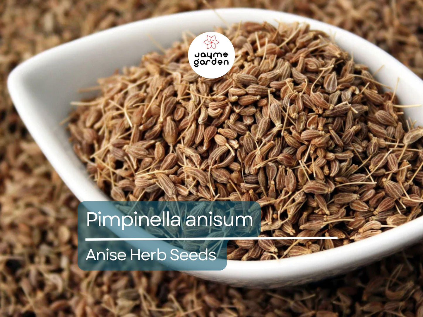 Anise Herb Seeds for Planting (250mg) - Aromatic & Edible Heirloom Seeds - Grow for Tea, Baking, or Culinary Dishes