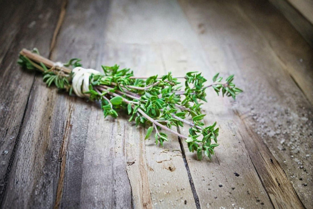 Thyme 350 Seeds | Classic Culinary Herb | Hardy Perennial | Aromatic & Pollinator-Friendly