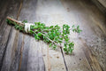 Thyme 350 Seeds | Classic Culinary Herb | Hardy Perennial | Aromatic & Pollinator-Friendly