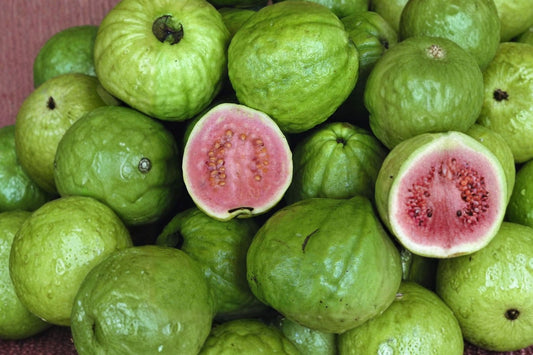 Barbie Pink Guava Live Plant, Psidium guajava, 1 Gallon Pot, Tropical Fruit Tree, Pink Guava Plant, Edible Garden