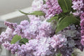Beauty of Moscow Lilac Plant Live | Syringa vulgaris ‘Krasavitsa Moskvy’ | Fragrant Lilac Bush | Double White Pink Flowers | 1 Gallon