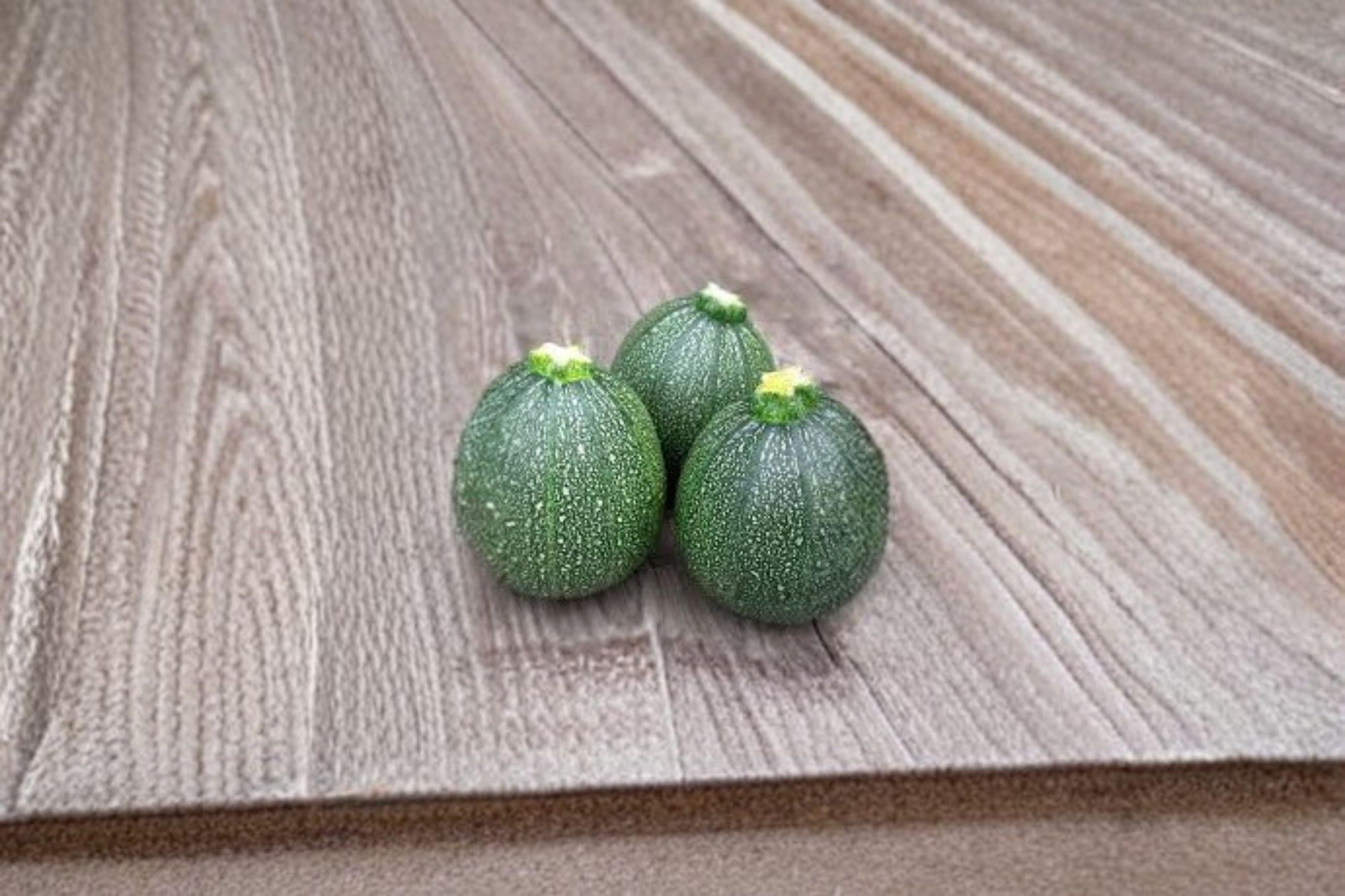 Summer Squash – Round Zucchini 10 Seeds | Heirloom Round Zucchini | Tender Flesh | Compact & Productive