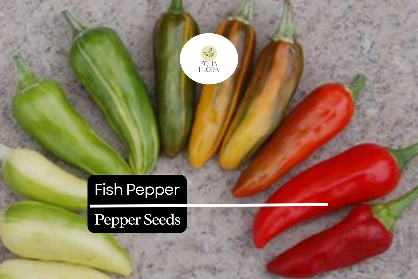 20 Fish Pepper Seeds – Heirloom, Striped Spicy Chili, Non-GMO, High-Yield Capsicum annuum