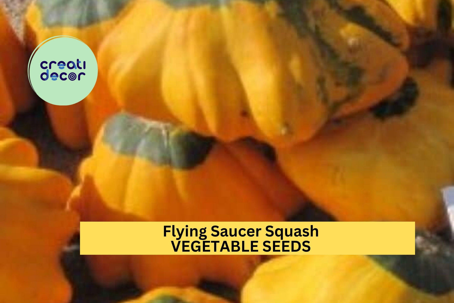 25+ Flying Saucer Squash Seeds – Unique Yellow-Striped Patty Pan for Garden Planting, Fun & Productive Summer Vegetable – USA