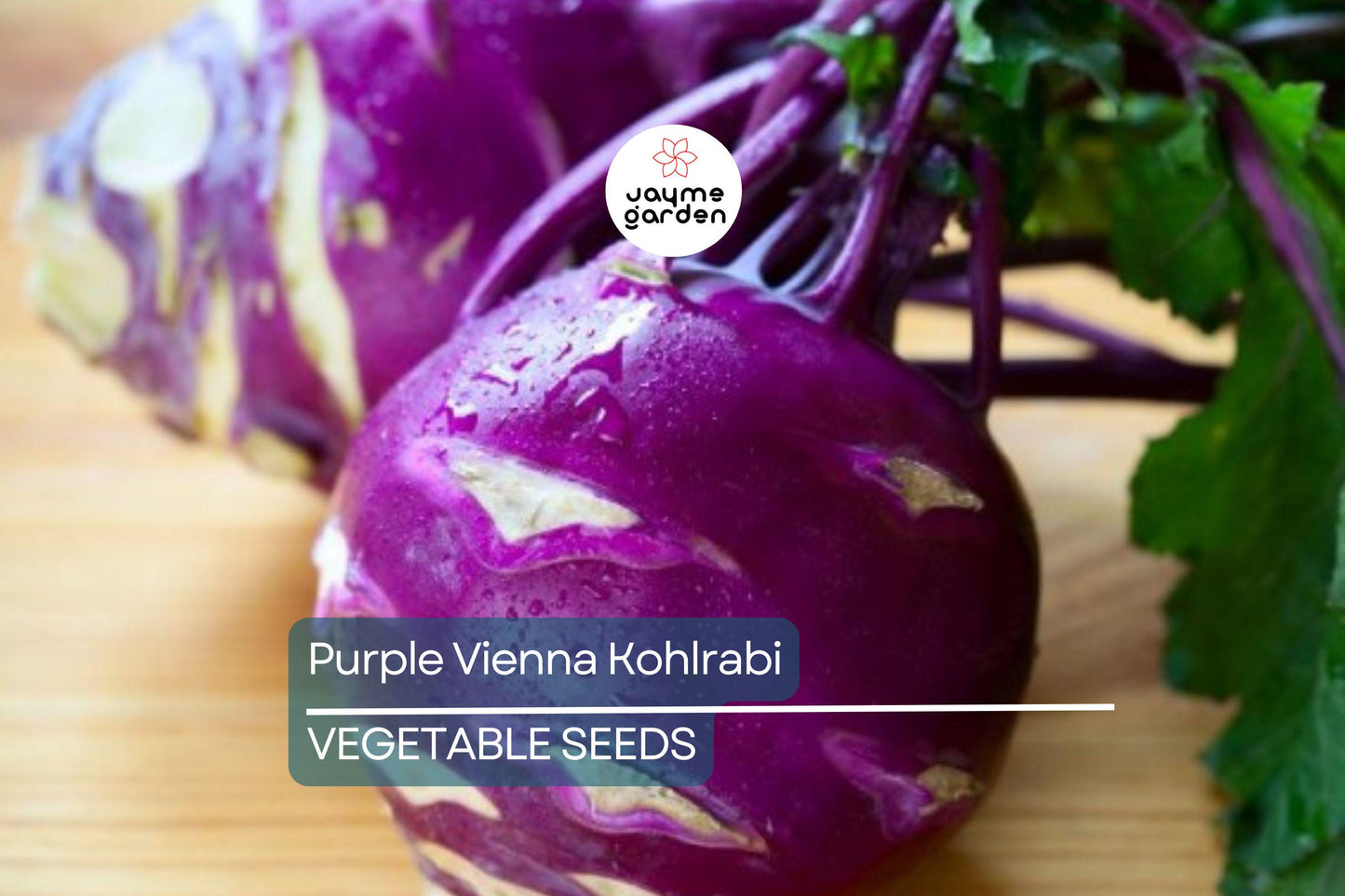 1000 Purple Vienna Kohlrabi Seeds - Non-GMO Heirloom | Cool Season Root Vegetable | Fast Growing | Free Shipping