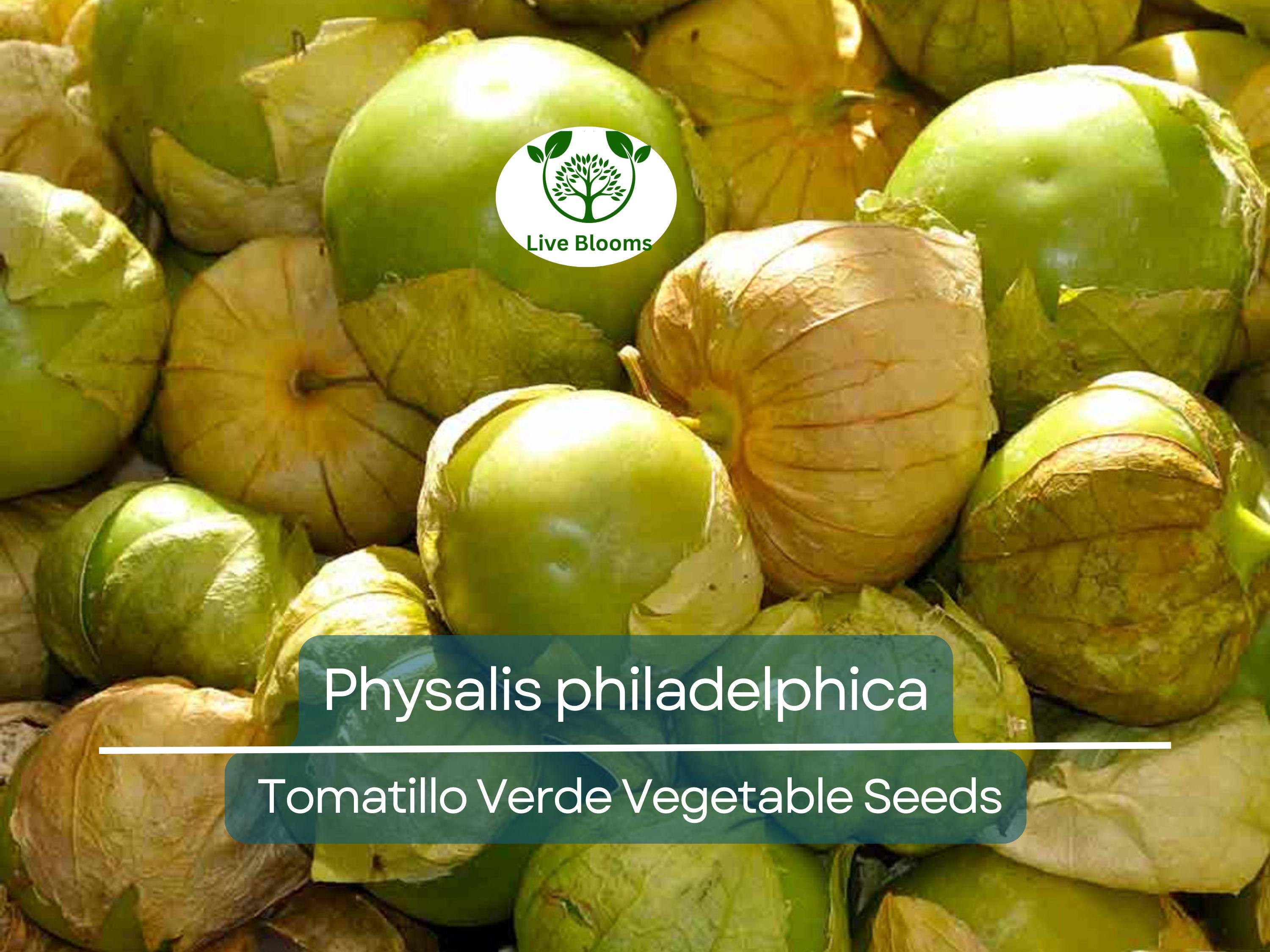 100 mg Seeds Tomatillo Verde – Physalis philadelphica | Fresh Mexican Husk Tomatoes for Planting, Salsa, and Cooking