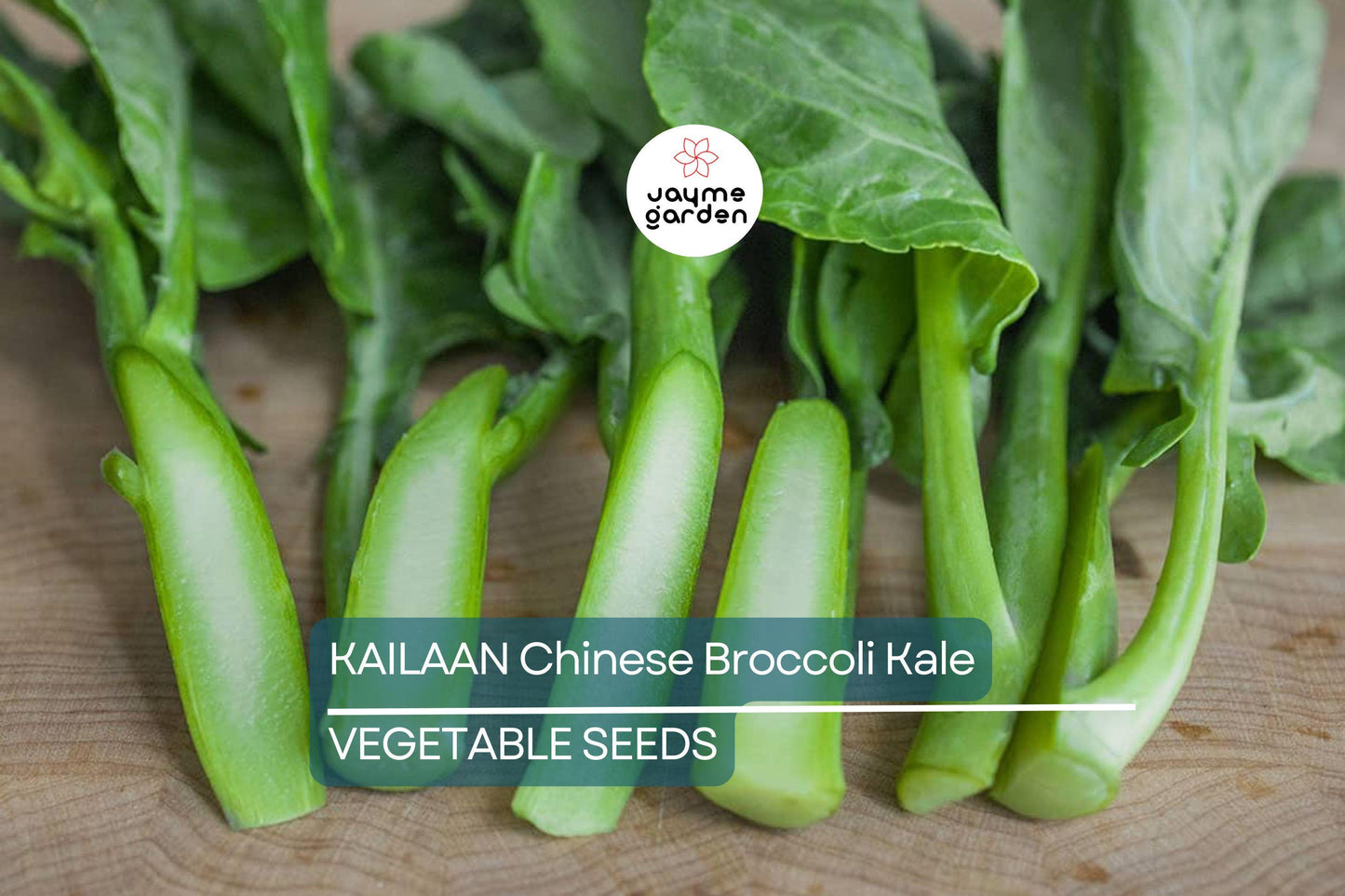125 Kailaan Chinese Broccoli Seeds - Heirloom Gai Lan - Kai Lan - Asian Greens - Chinese Kale - Fast-Growing Leafy Veg