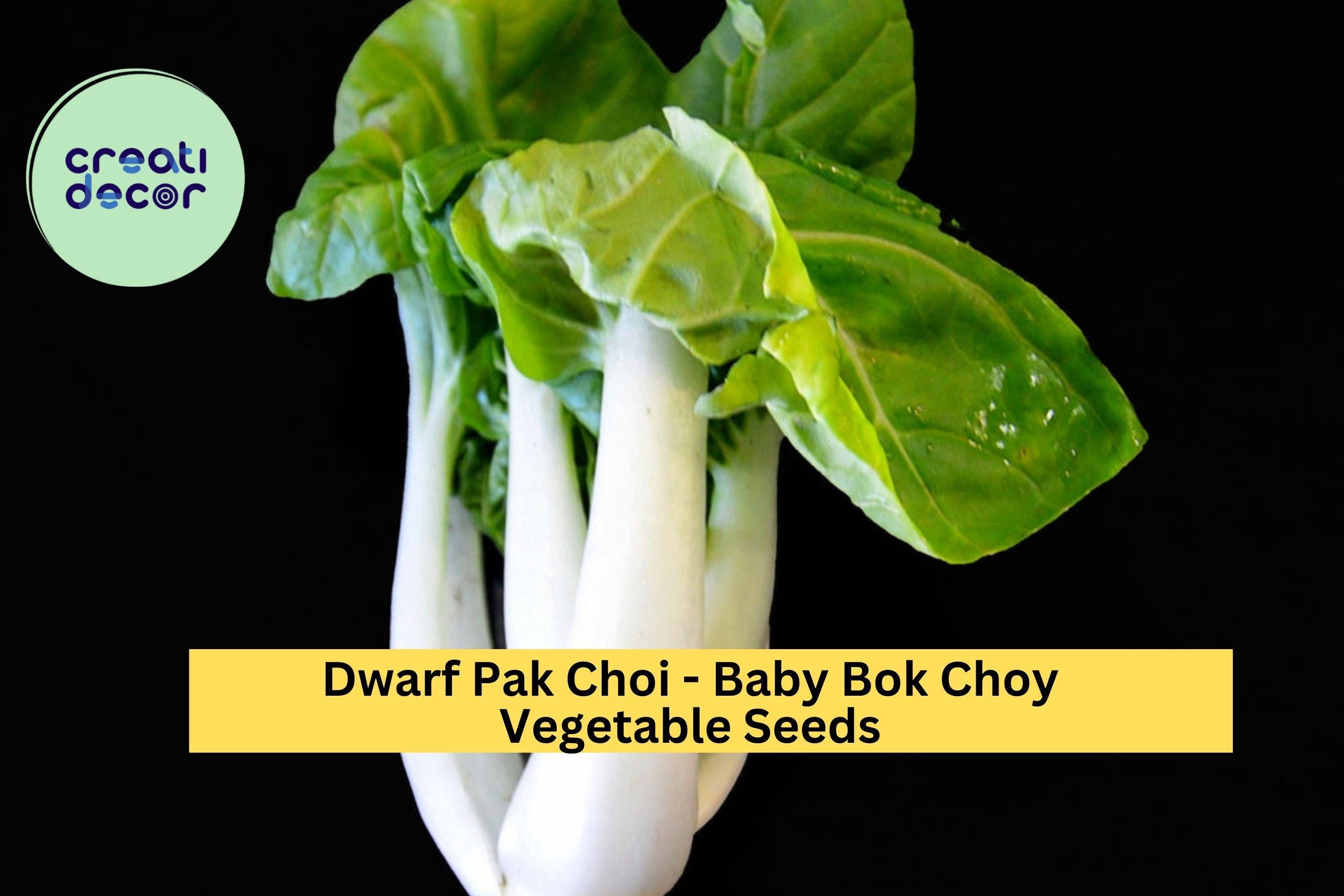 3pcs of 500mg Baby Bok Choy Seeds – Dwarf Pak Choi Variety for Tender Greens, Container Gardening & Asian Dishes Seeds for Planting