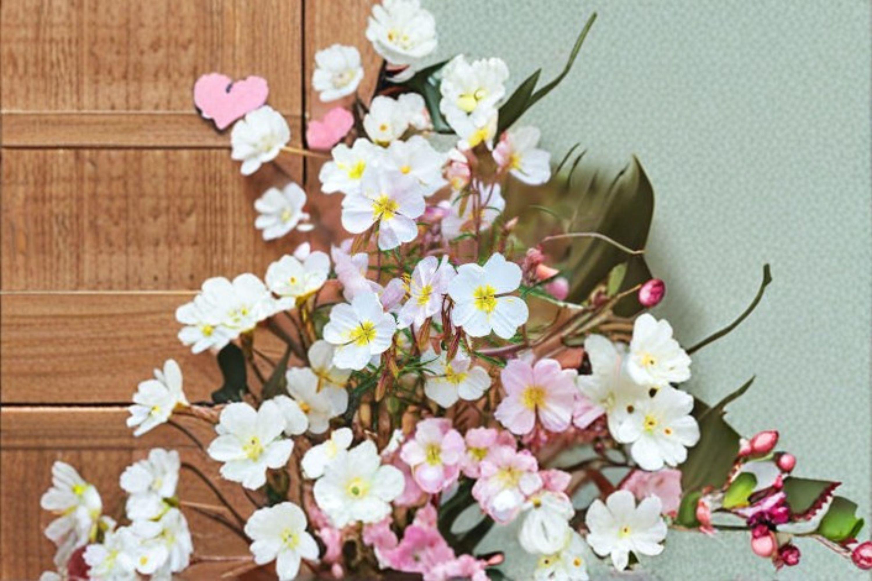 Pale Evening Primrose Seeds – Oenothera pallida, Native Drought-Tolerant Wildflower (100 Seeds)