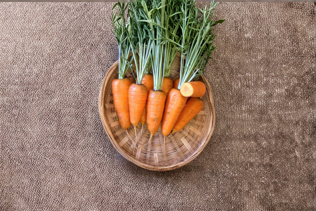 Carrot – Chantenay Red Cored 800 Seeds | Heirloom Root Vegetable | Sweet & Stocky Roots | Excellent for Heavy Soils