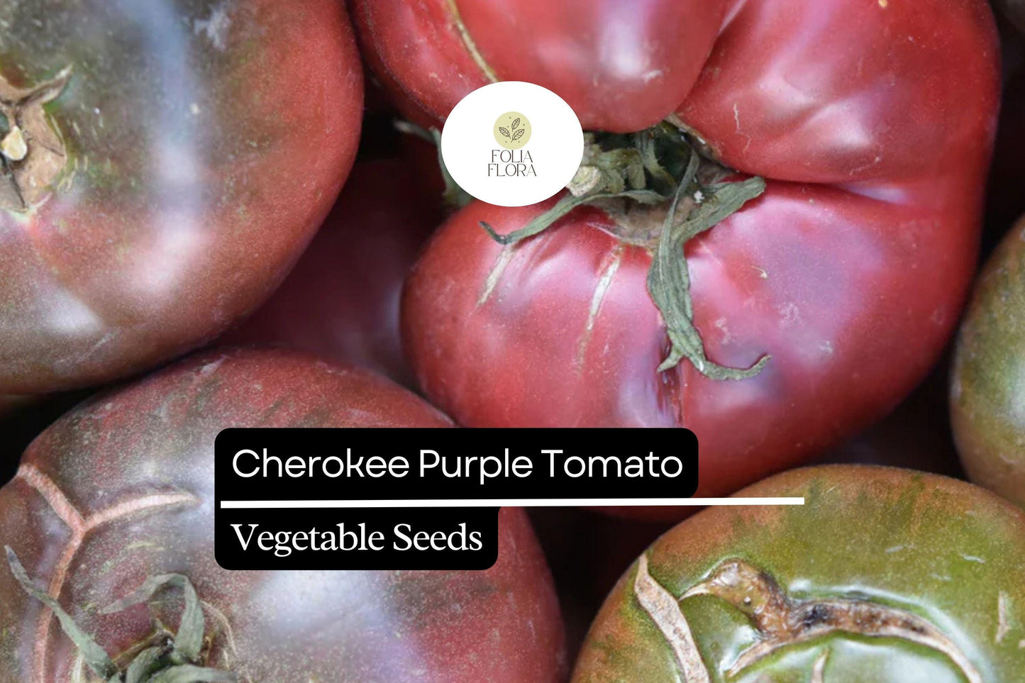 30 Seeds Cherokee Purple Tomato (Solanum lycopersicum) - Heirloom Tomato with Rich Flavor, Perfect for Slicing and Salads