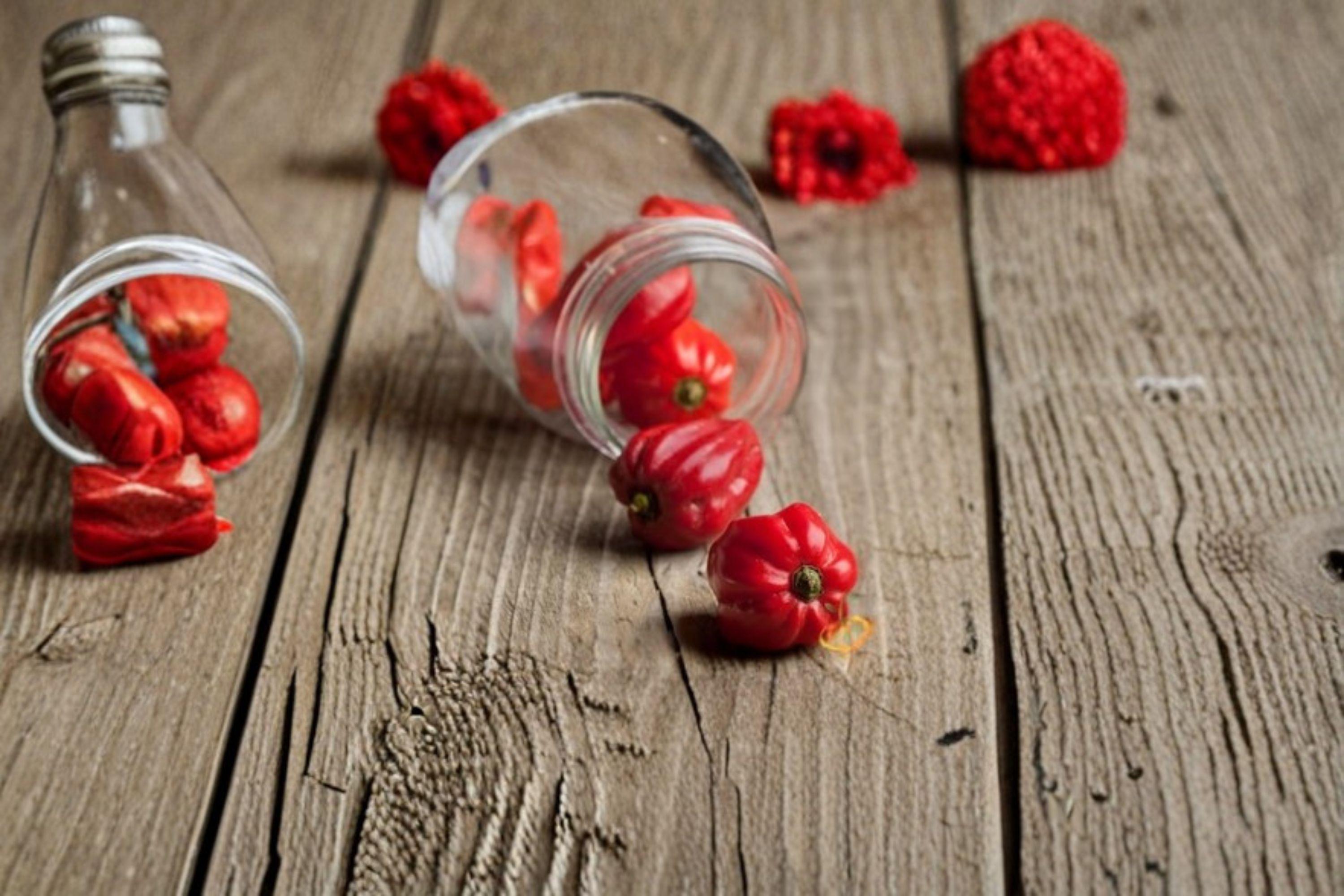 Habanero – Caribbean Red Hot Pepper 25 Seeds | Extremely Hot Pepper | Fruity Caribbean Flavor | Super Hot Chili