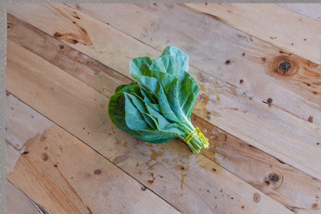 Collards – Champion 300 Seeds | Heirloom Southern Green | Cold & Heat Tolerant | Large Tender Leaves