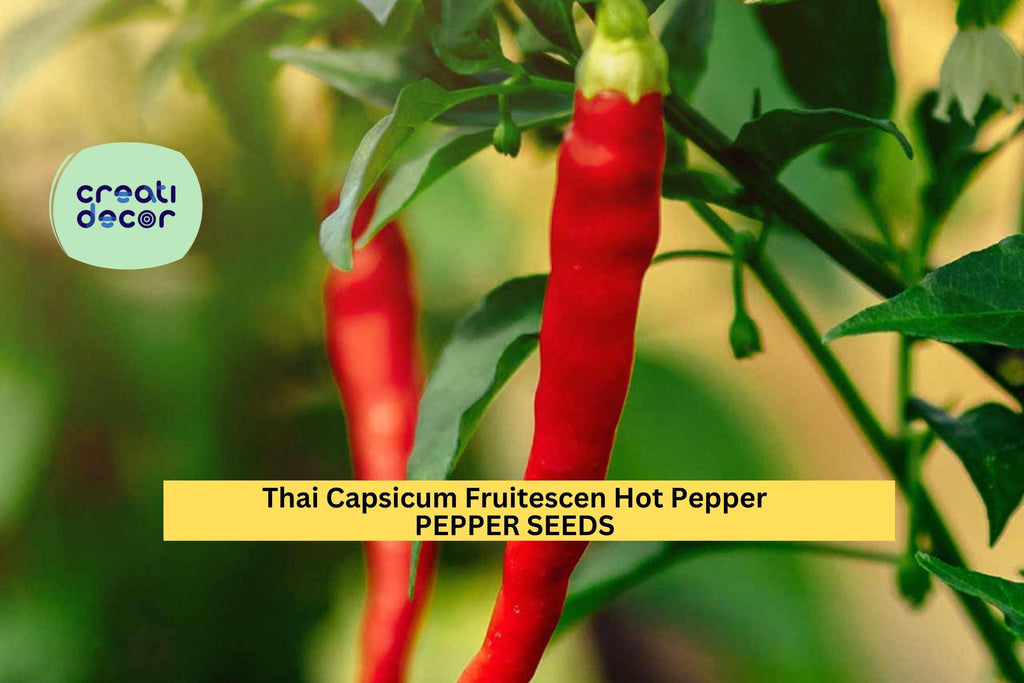 3pcs of 250mg Large Hot Cherry Pepper Seeds – Spicy Round Chili for Pickling,Cooking & Garden Growing–Heirloom Hot Pepper Seeds for Planting