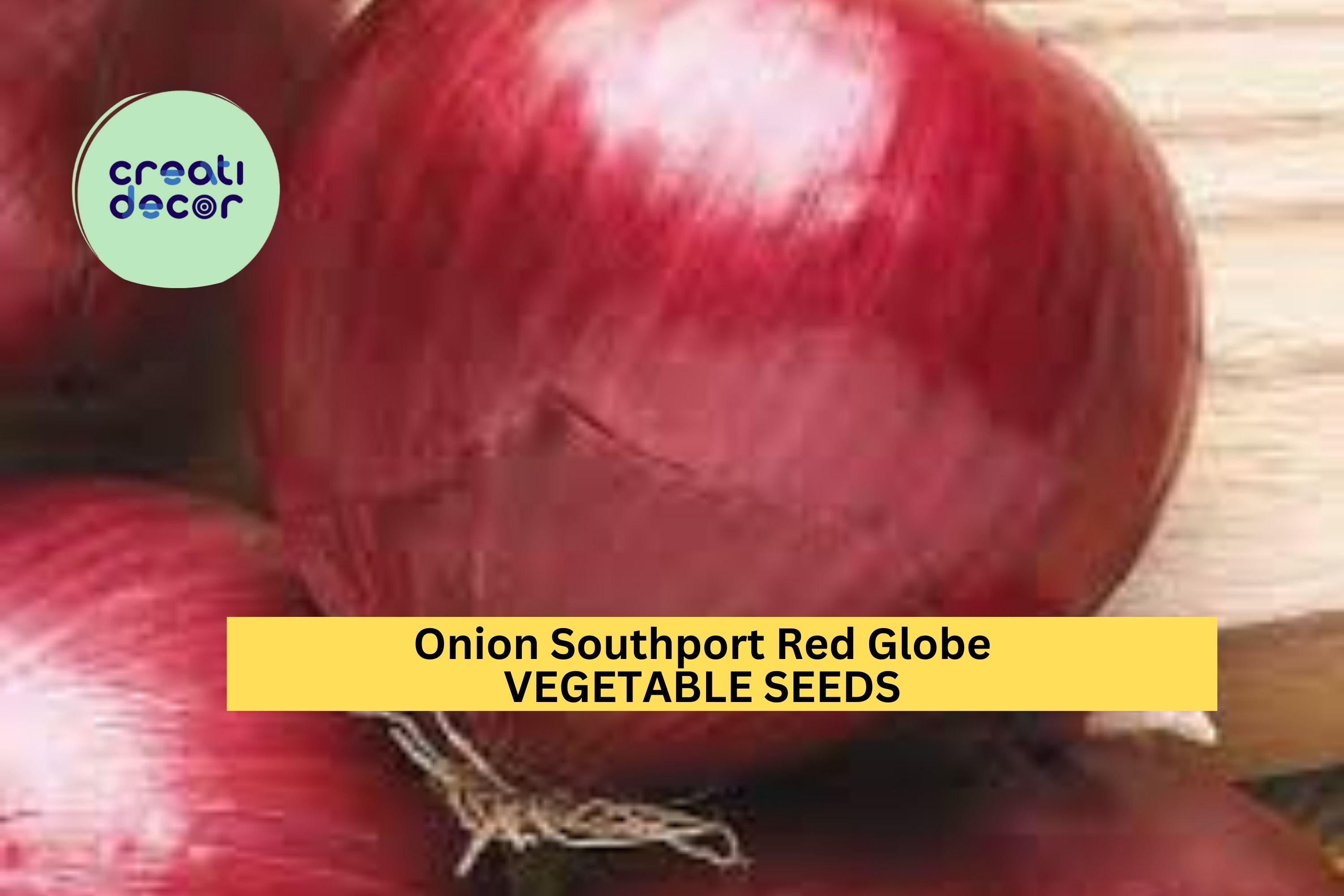 3pcs of 250mg Southport Red Globe Onion Seeds – Heirloom Variety with Deep Red Bulbs – Great Storage Onion Seeds for Planting