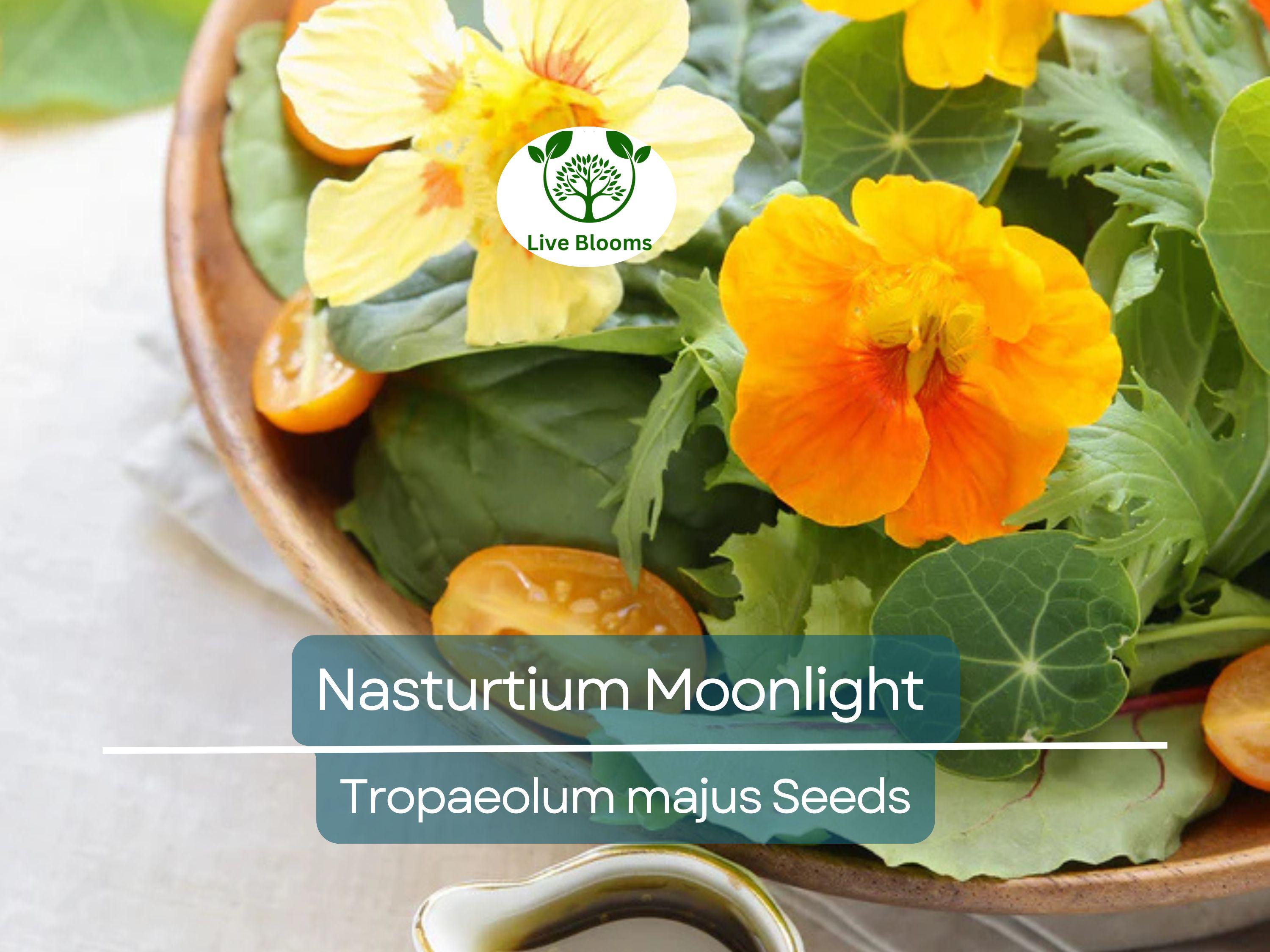10 Nasturtium Moonlight Seeds, Creamy White Edible Flowers, Heirloom, Non-GMO, Beautiful Garden & Salad Flowers, Organic Healthy