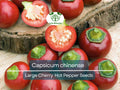 30 Seeds Large Cherry Hot Pepper (Capsicum annuum) – Sweet & Spicy, Cherry-Style Pepper for Planting, Great for Salsa, Salads and Hot Sauces