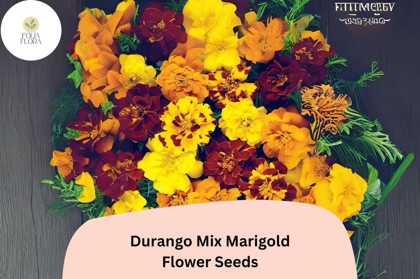 25+ Durango Mix Marigold Seeds | Tagetes patula | French Marigold Blend | Vibrant Orange, Yellow & Red Blooms for Garden and Pots