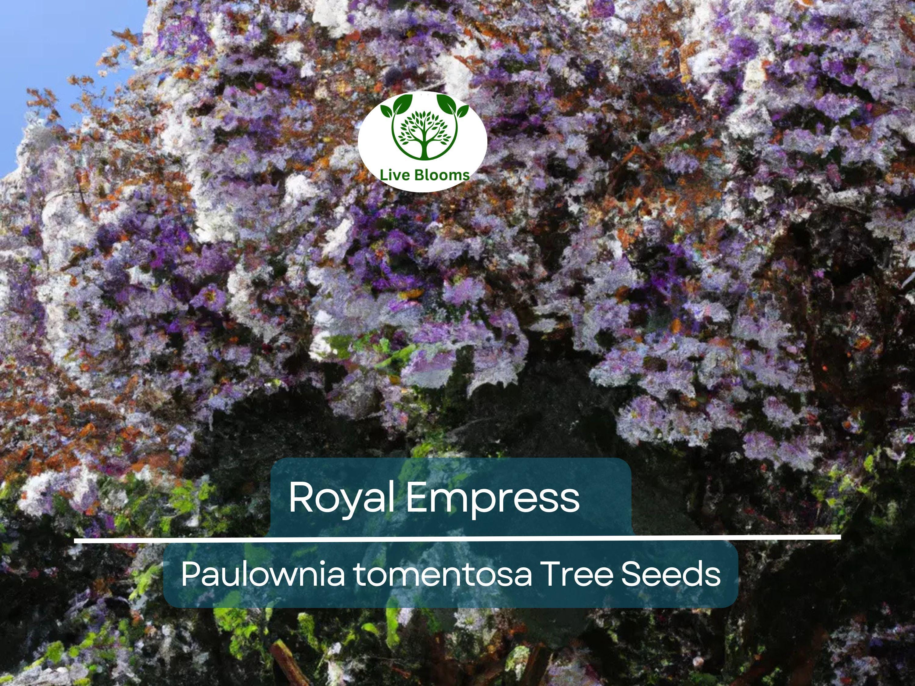 100 Royal Empress Tree Seeds (Paulownia tomentosa), Purple Flowers, Fast-Growing Tree, Decorative Tree, Garden Starter, Landscape Plant