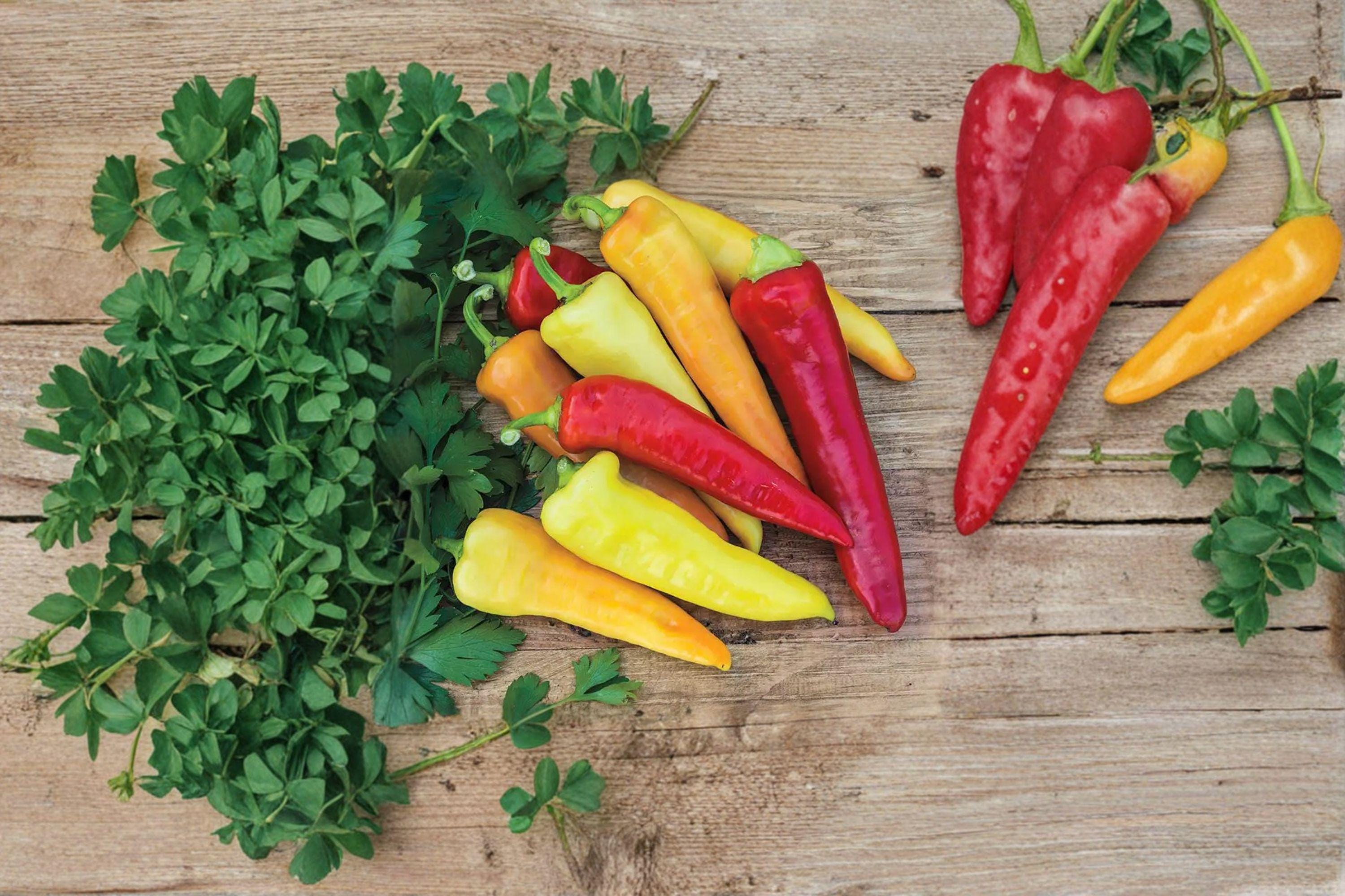 Sweet Pepper – Banana 30 Seeds | Mild Sweet Pepper | Pale Yellow Fruits | Great for Fresh Eating & Pickling