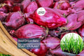 Red Onion Sets - 8 oz. (40-60 Bulbs) | Naturally Grown, Non-GMO | Red Baron Variety | Long-Day, Storage Onion |