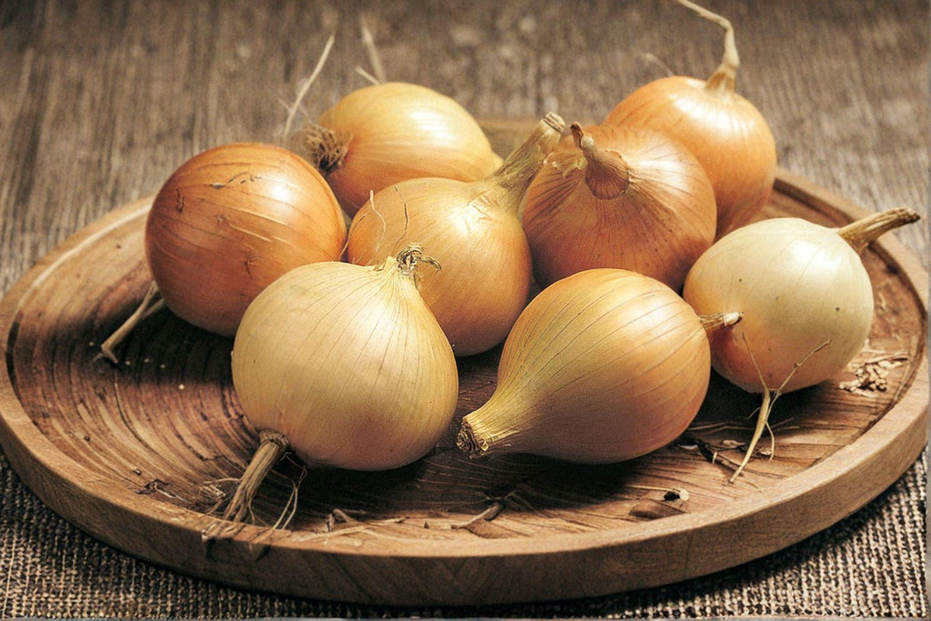 Onion – Walla Walla Sweet 50 Seeds | Famous Sweet Onion | Large Juicy Bulbs | Mild & Delicious Flavor