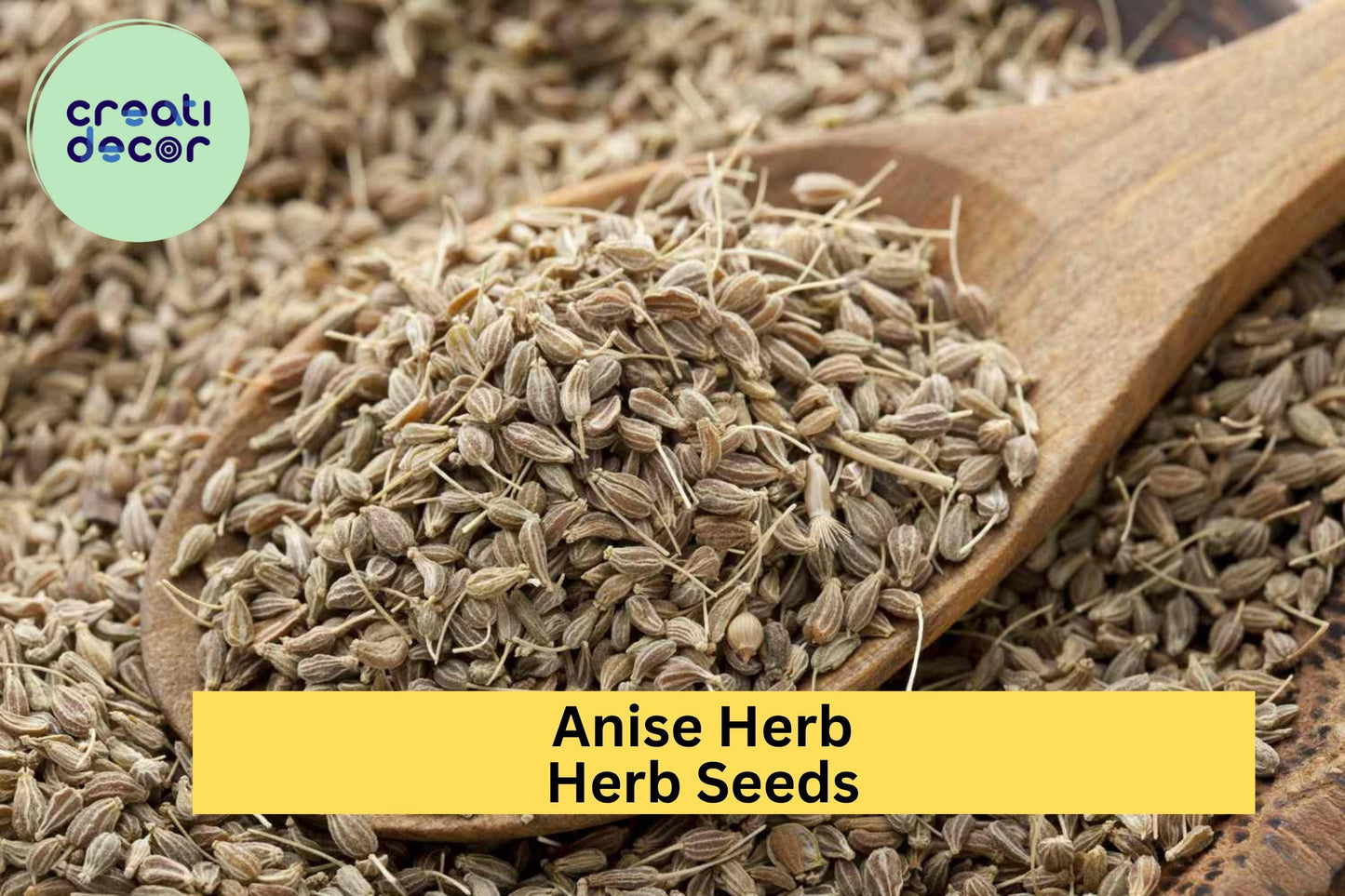 3pcs of 250mg Anise Herb Seeds – Aromatic Licorice-Scented Herb for Culinary & Tea – Easy-Grow Seeds for Planting in Home Gardens
