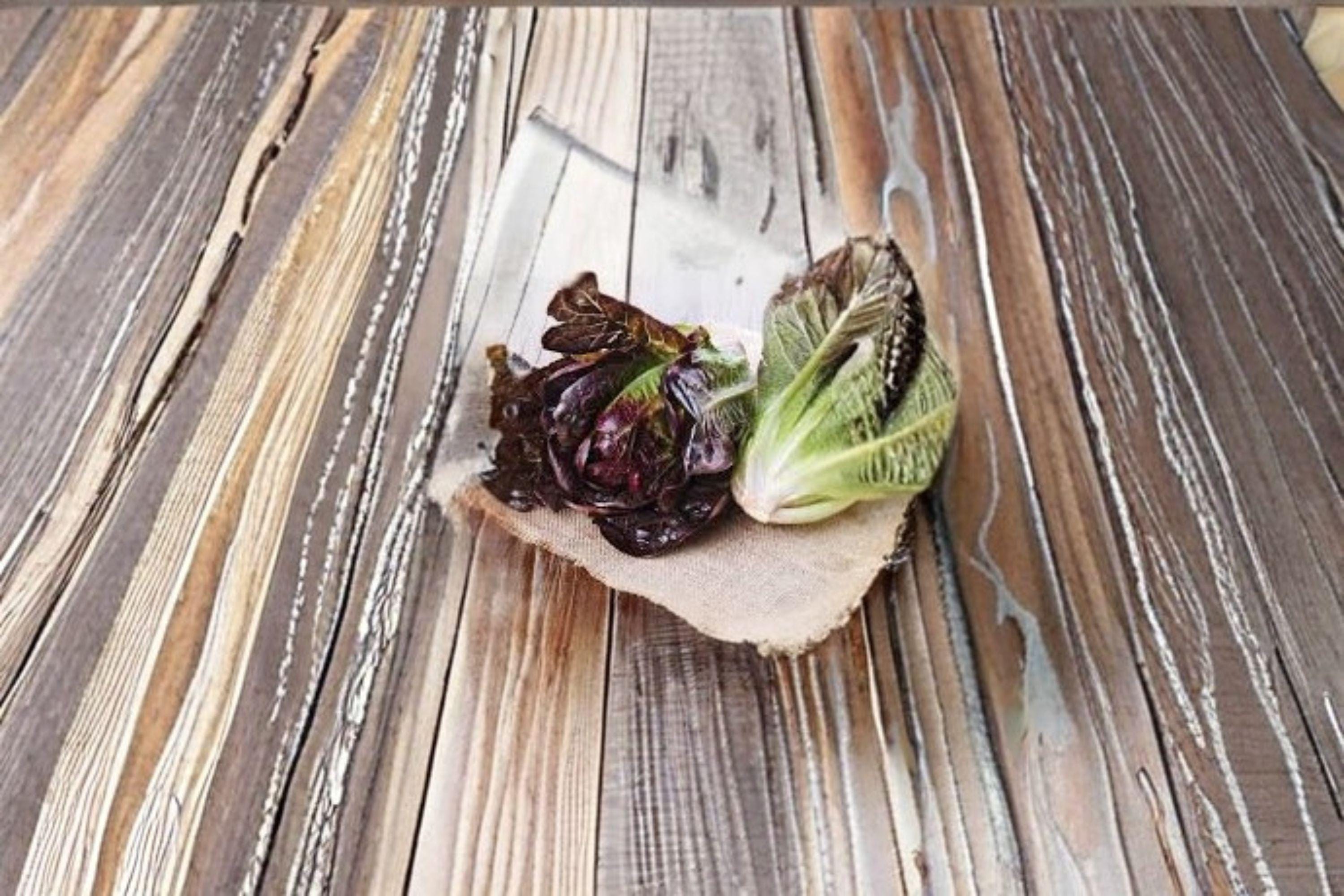 Red Romaine Lettuce 700 Seeds | Classic Romaine Type | Crisp Leaves | Colorful Salad Green