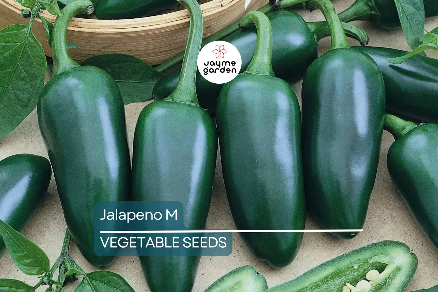 300 Jalapeno M Pepper Seeds - Hot & Spicy | Non-GMO Heirloom | 5,000 SHU Mild Heat | High Yield | USA Seller | Free Shipping