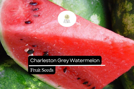 20 Seeds Charleston Grey Watermelon (Citrullus lanatus) – Sweet, Juicy, Classic Summer Favorite