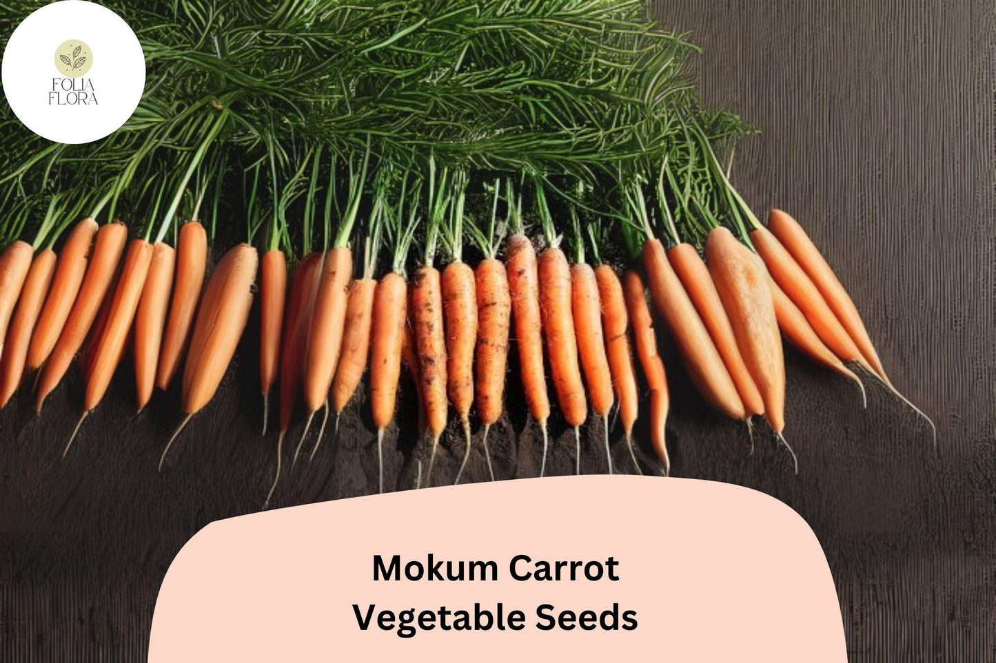1000+ Mokum Carrot Seeds – Sweet, Crisp, Early Maturing Hybrid Carrots