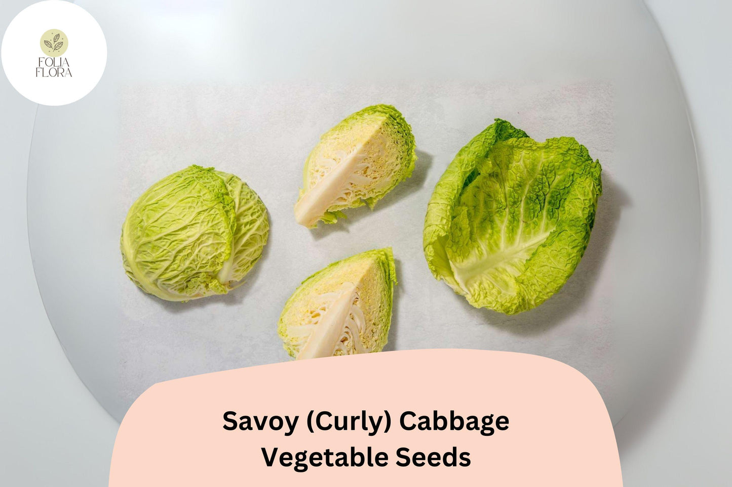 500+ Savoy Cabbage Seeds | Curly-Leaf Heirloom Vegetable | Brassica oleracea | Bulk Seeds for Garden Planting