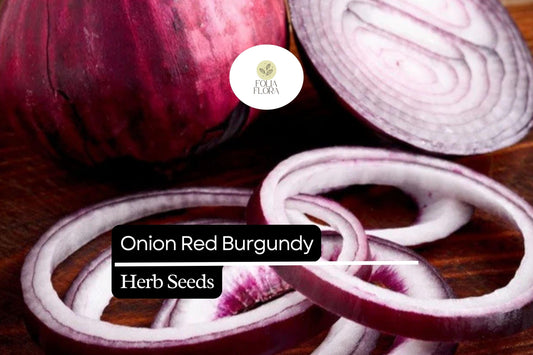 200 Red Burgundy Onion Seeds – Allium cepa – Heirloom, Mild & Sweet Flavor, High Yield, Non-GMO