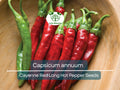 30 Seeds Hot Cayenne Red Long Pepper – Capsicum annuum | Heirloom Hot Pepper Seeds for Planting, Spicy Culinary Use & Gardening