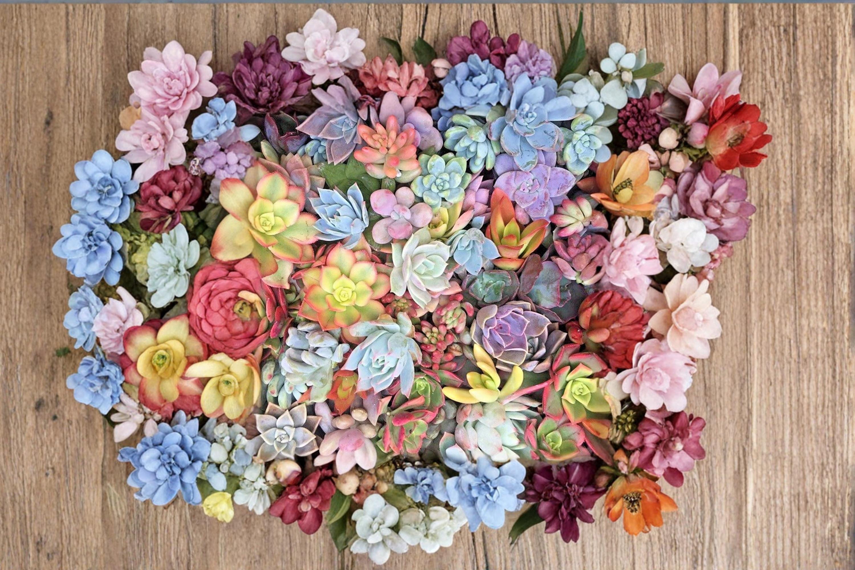 Mixed Succulents 25 Cuttings 1-2" Assorted Rosette Succulent Mix